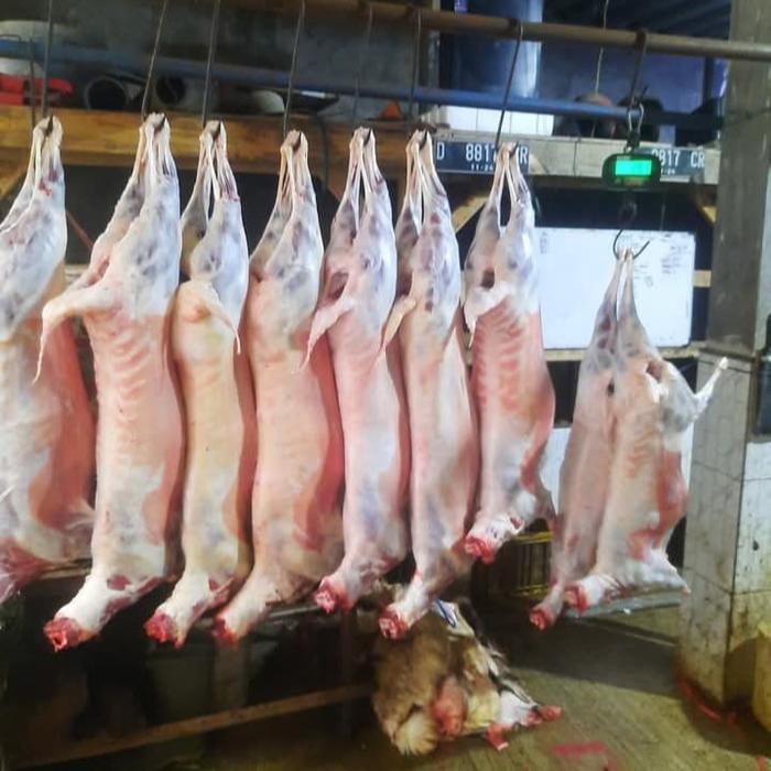 jual Karkas kambing depok